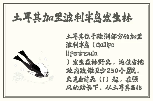 情侣第一次开间打扑克